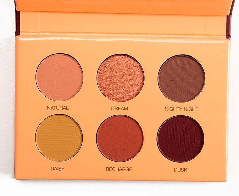Coloured Raine Beauty Rust Mini Eyeshadow Palette