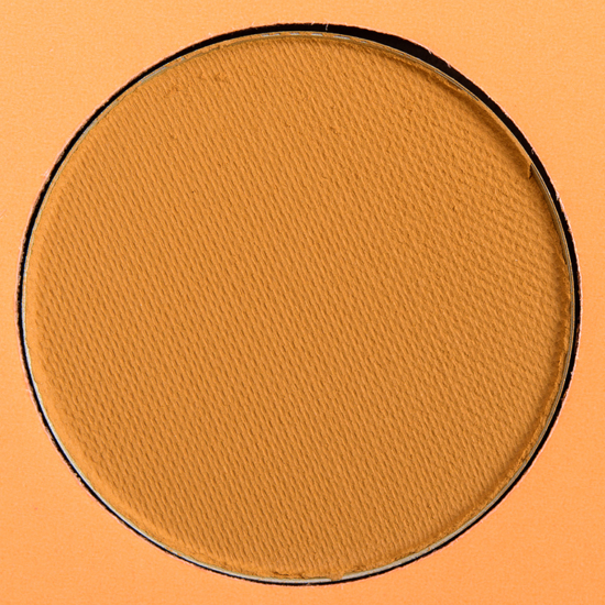 Coloured Raine Eyeshadow Daisy