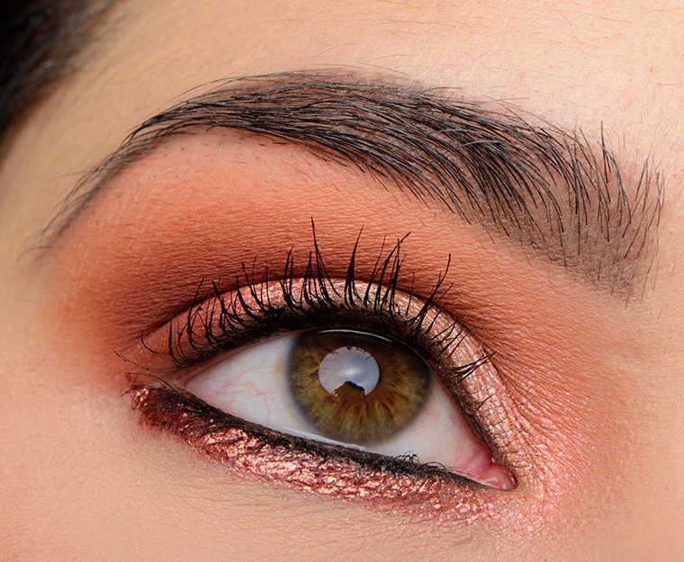 ColourPop Golden State of Mind Palette | Look Details