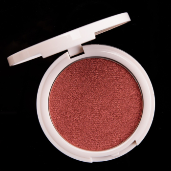 Coloured Raine Bourgeois Focal Point Glowlighter