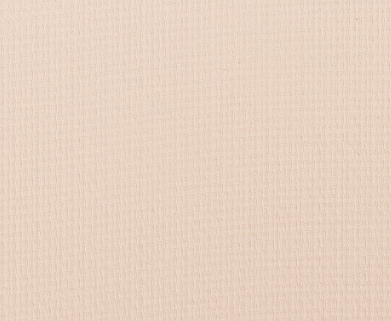 Make Up For Ever M500 Ivory Artist Color Shadow