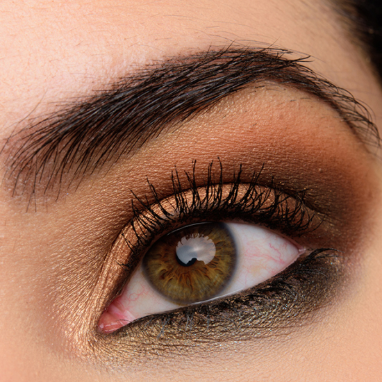 Make Up For Ever Smoky, Warm Browns | <a href="https://www.temptalia.com/looks/a-smoky-warm-brown-eye-with-make-up-for-ever-artist-color-shadows/">Look Details</a>