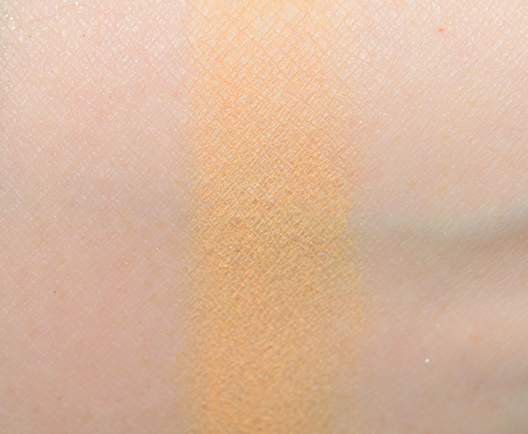 Wet 'n' Wild Hooked on Vinyl #1 Color Icon Eyeshadow (2018)