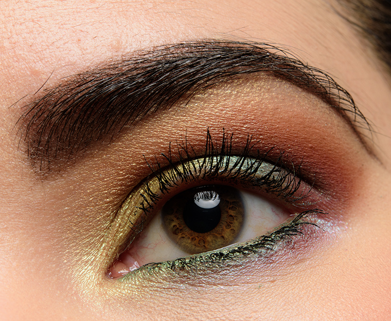 Too Faced Life's a Festival Palette | Look Details