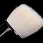Wayne Goss Brush 01 (2018)