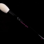 Wayne Goss Brush 02 (2018)