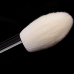 Wayne Goss Brush 02 (2018)