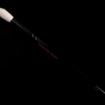 Wayne Goss Brush 03 (2018)