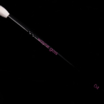 Wayne Goss Brush 04 (2018)