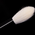 Wayne Goss Brush 04 (2018)