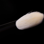 Wayne Goss Brush 04 (2018)