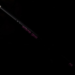 Wayne Goss Brush 05 (2018)