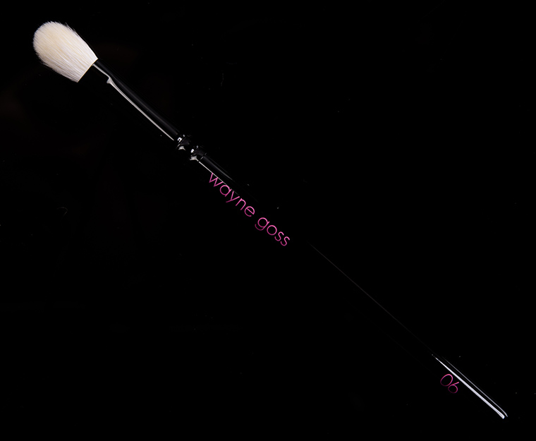 Wayne Goss Brush 06 (2018)