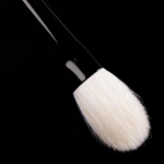 Wayne Goss Brush 06 (2018)