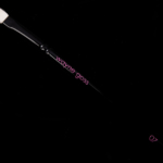 Wayne Goss Brush 07 (2018)