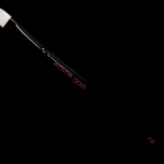 Wayne Goss Brush 08 (2018)