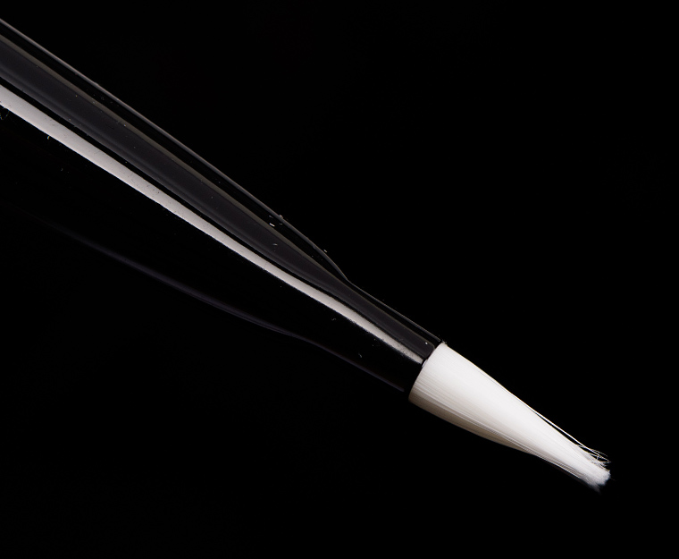 Wayne Goss Brush 08 (2018)  