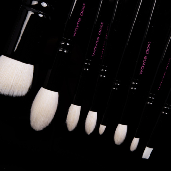 Wayne Goss Brush Set