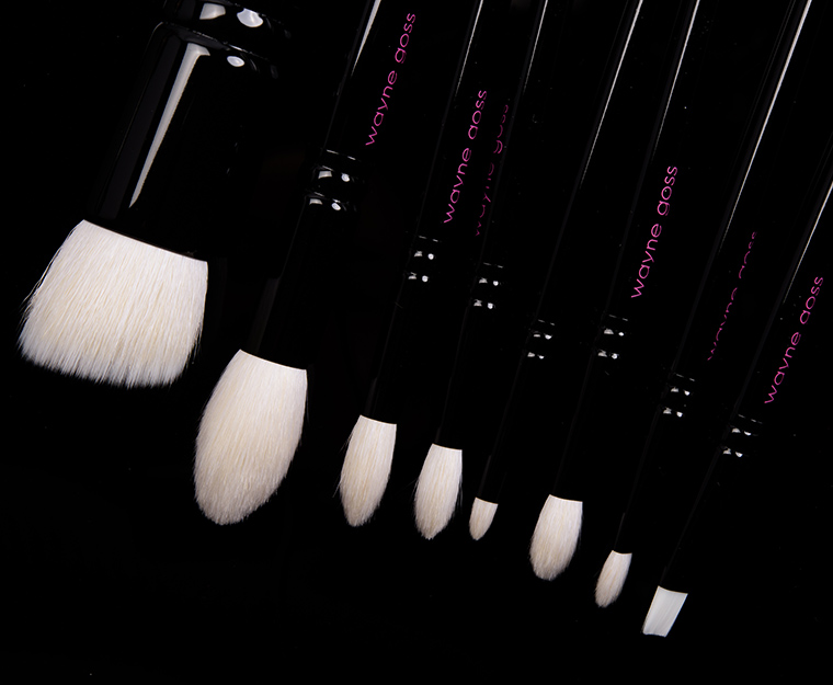 Wayne Goss The Anniversary Set Volume 2 Brush Set