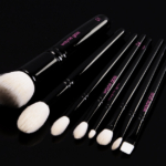 Wayne Goss The Anniversary Set Volume 2 Brush Set