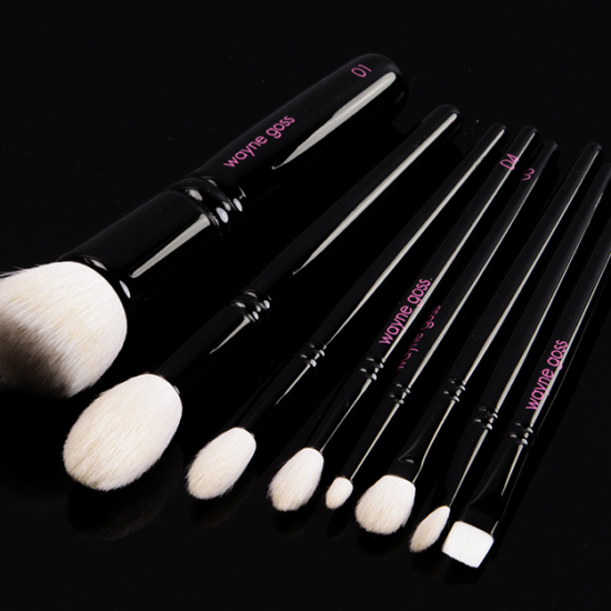 Wayne Goss The Anniversary Set Volume 2 Brush Set
