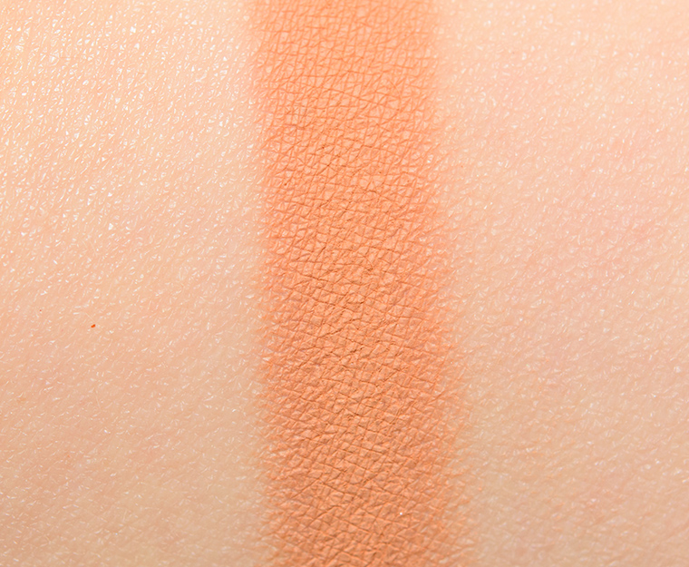 Natasha Denona Guava Creamy Matte Eye Shadow