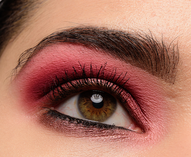 Viseart Petit Pro (02) Palette | Look Details