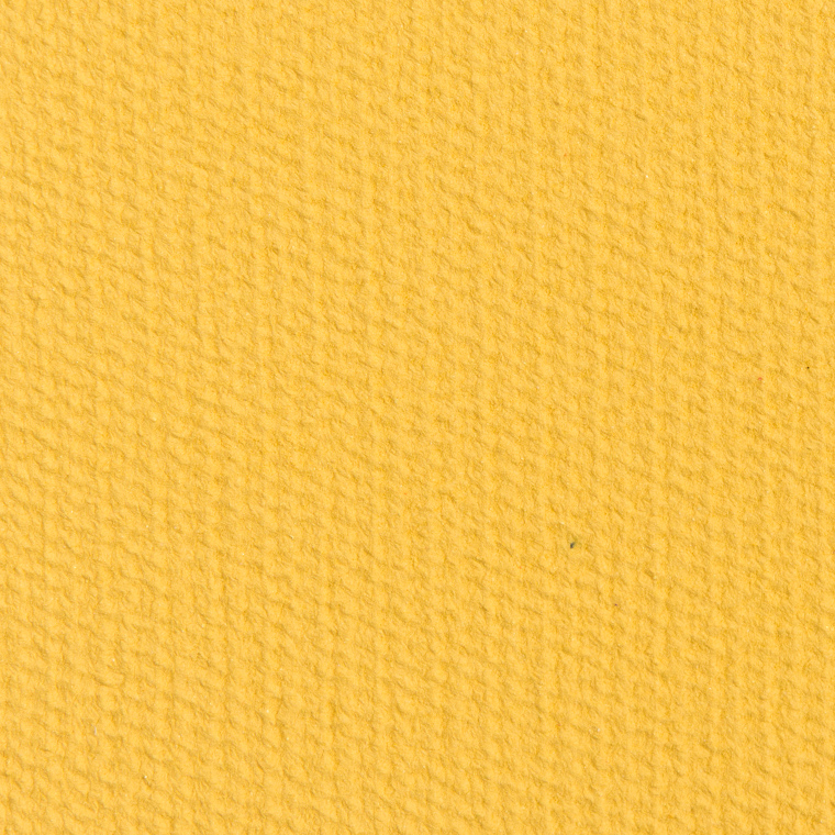 Makeup Geek Potential Power Pigment