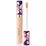 Fair Beige (10B)