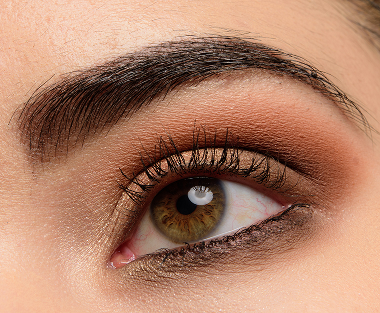 Dior Warm Neutrals (001) Eyeshadow Palette over Smashbox 24HR Eye Primer