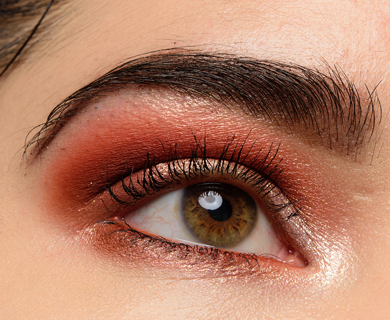 Inglot X JLO Pure Pigment  x Dose of Color Sassy Siennas Look | Look Details