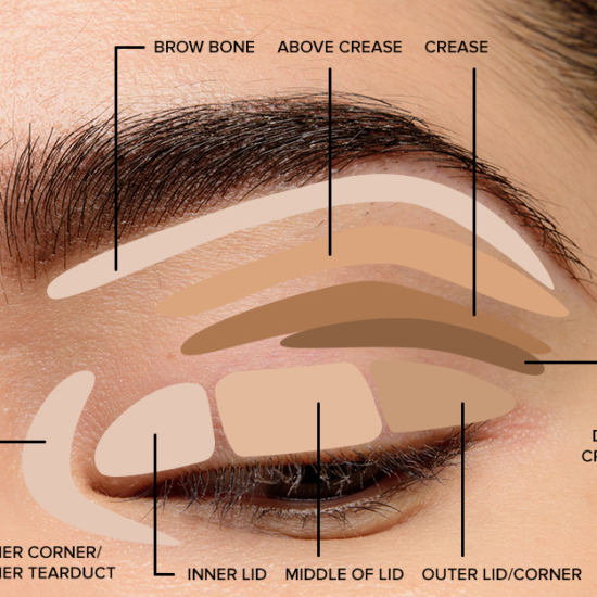Tutorial Blank