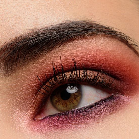 Urban Decay Born to Run Palette | <a href="https://www.temptalia.com/looks/a-deep-bronze-copper-berry-eye-with-urban-decay-born-to-run/">Look Details</a>