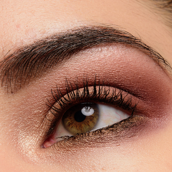 Tom Ford Beauty Iris Bronze Eye Color Quad Review & Swatches