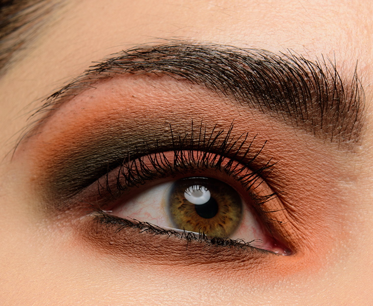 Natasha Denona Safari Palette | Look Details