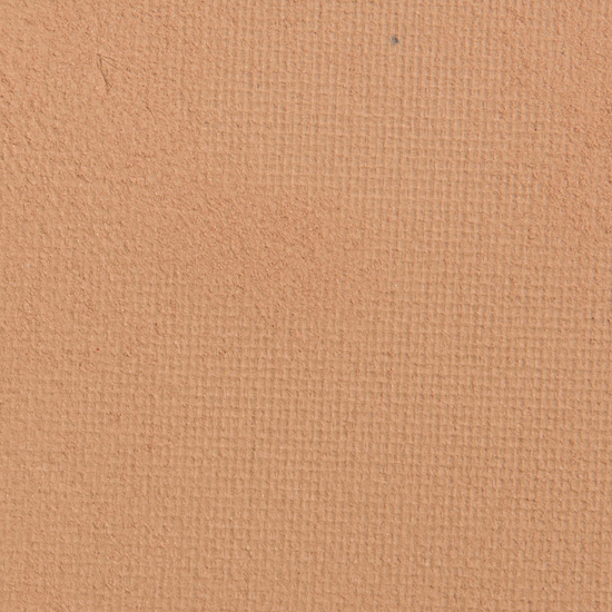 Sephora PRO Eyeshadow Blonde