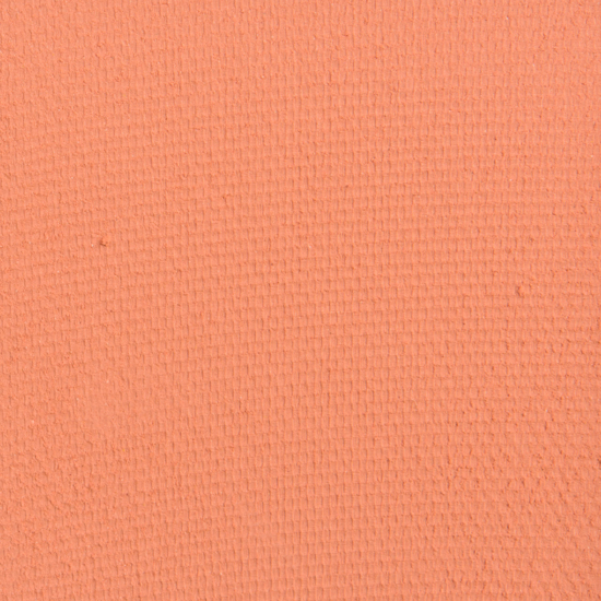 Sephora PRO Eyeshadow Cantaloupe