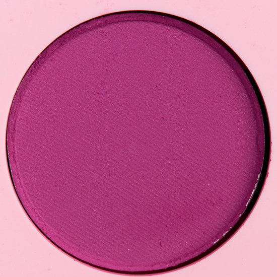 ColourPop Pressed Powder Shadow Caddy