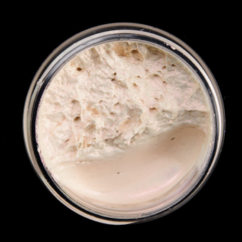 ColourPop Crystal Castle Jelly Much Eyeshadow