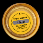 ColourPop Wide Awake Jelly Much Eyeshadow