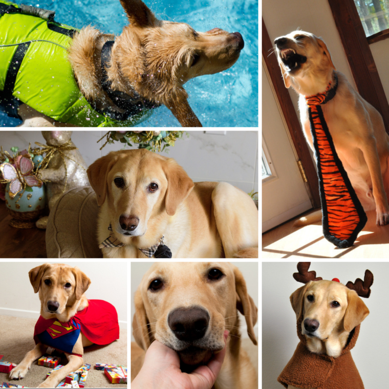 Happy 11th birthday, Magellan!