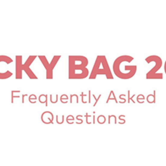 Holiday 2018 Beautylish Lucky Bag