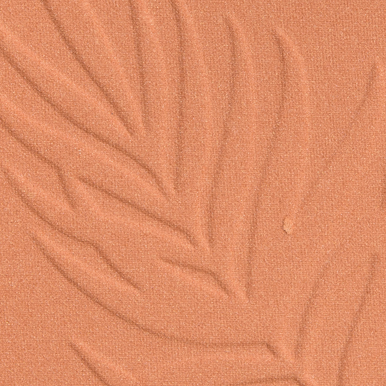 Wet 'n' Wild Ticket to Brazil Color Icon Bronzer