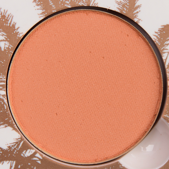 Anastasia Eyeshadow Papaya