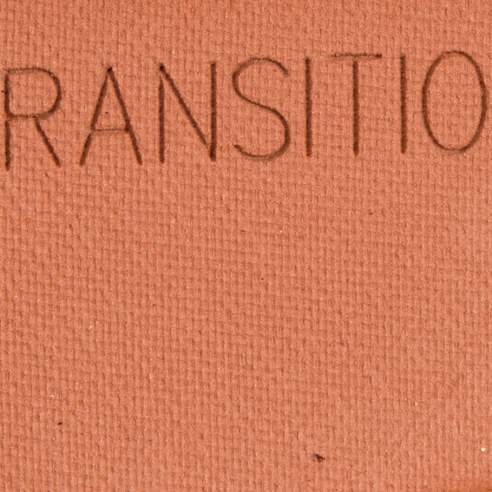Wet 'n' Wild Color Icon Eyeshadow (2018) My Glamour Squad #6
