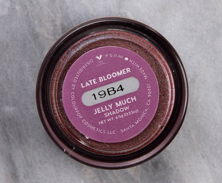 ColourPop Late Bloomer Jelly Much Eyeshadow