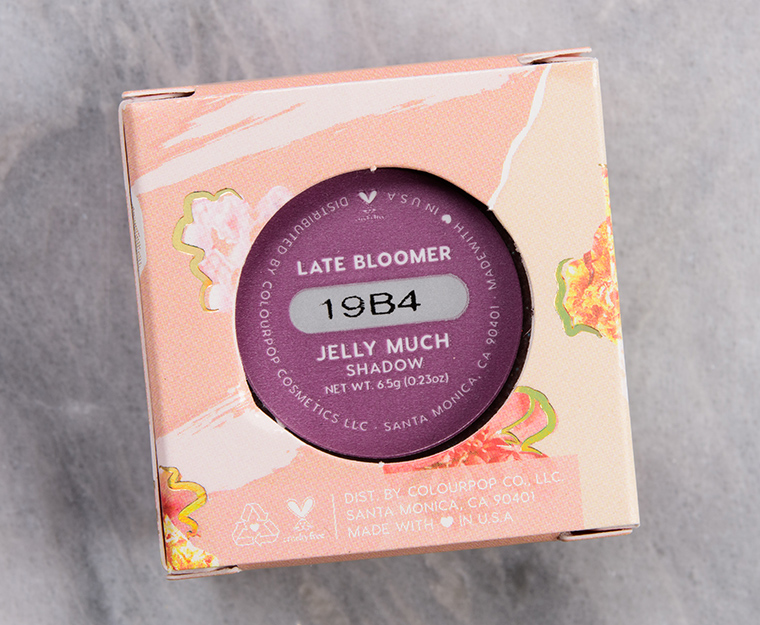 ColourPop Late Bloomer Jelly Much Eyeshadow