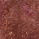 ColourPop Party Plan Super Shock Extreme Pressed Pigment