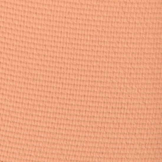 Viseart Eyeshadow Apricot Nude (GPV1 #2)