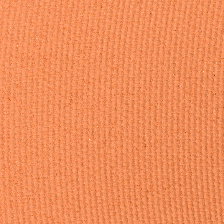 Viseart Cantaloupe (Warm Mattes #6) Eyeshadow